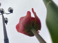 -长春公园(普阳街道)