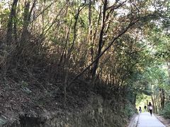 -银瓶嘴森林公园