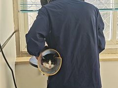 -萌兽医馆·绝育·24小时内科·宠物医院(德胜店)