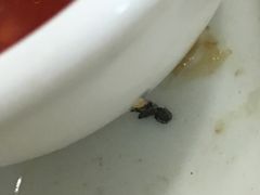 -建国蚵煎蚵面