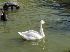 -无锡动物园·太湖欢乐园
