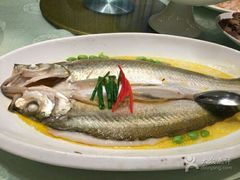 -小厨娘淮扬菜(板桥一店)