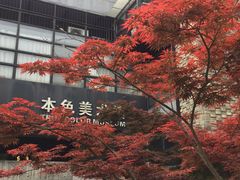 -苏州本色美术馆