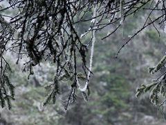 -硗碛藏寨·神木垒景区