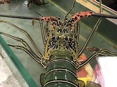 -大茄来海鲜餐厅(亚洲城分行)