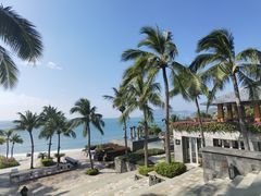 -日落吧·海景咖啡厅·餐酒吧·鸡尾酒·下午茶·乐队表演·浪漫夕阳·三亚文华东方酒店