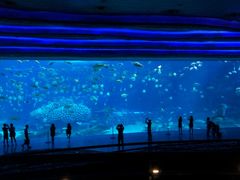 -广东省拱北口岸中国旅行社(华宾营业部)