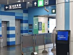 -大望路(地铁站)