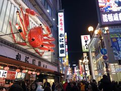 -蟹道乐(道顿堀本店)