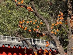 -大慈岩风景区