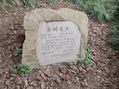 -无锡惠山寺