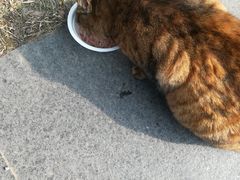 -苏州河梦清园环保主题公园