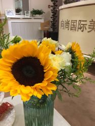 -UP&UP·半永久眉毛眼线机器野生眉