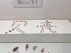 -青岛贝壳博物馆