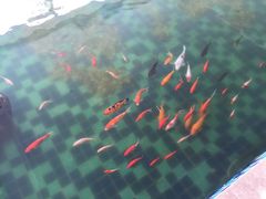 曼湾禾田居度假酒店-途易晟曼湾度假酒店(大鹏店)