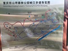 -铁山坪森林公园