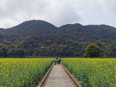 -广州市石门国家森林公园