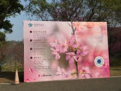 -福建鲤鱼洲酒店