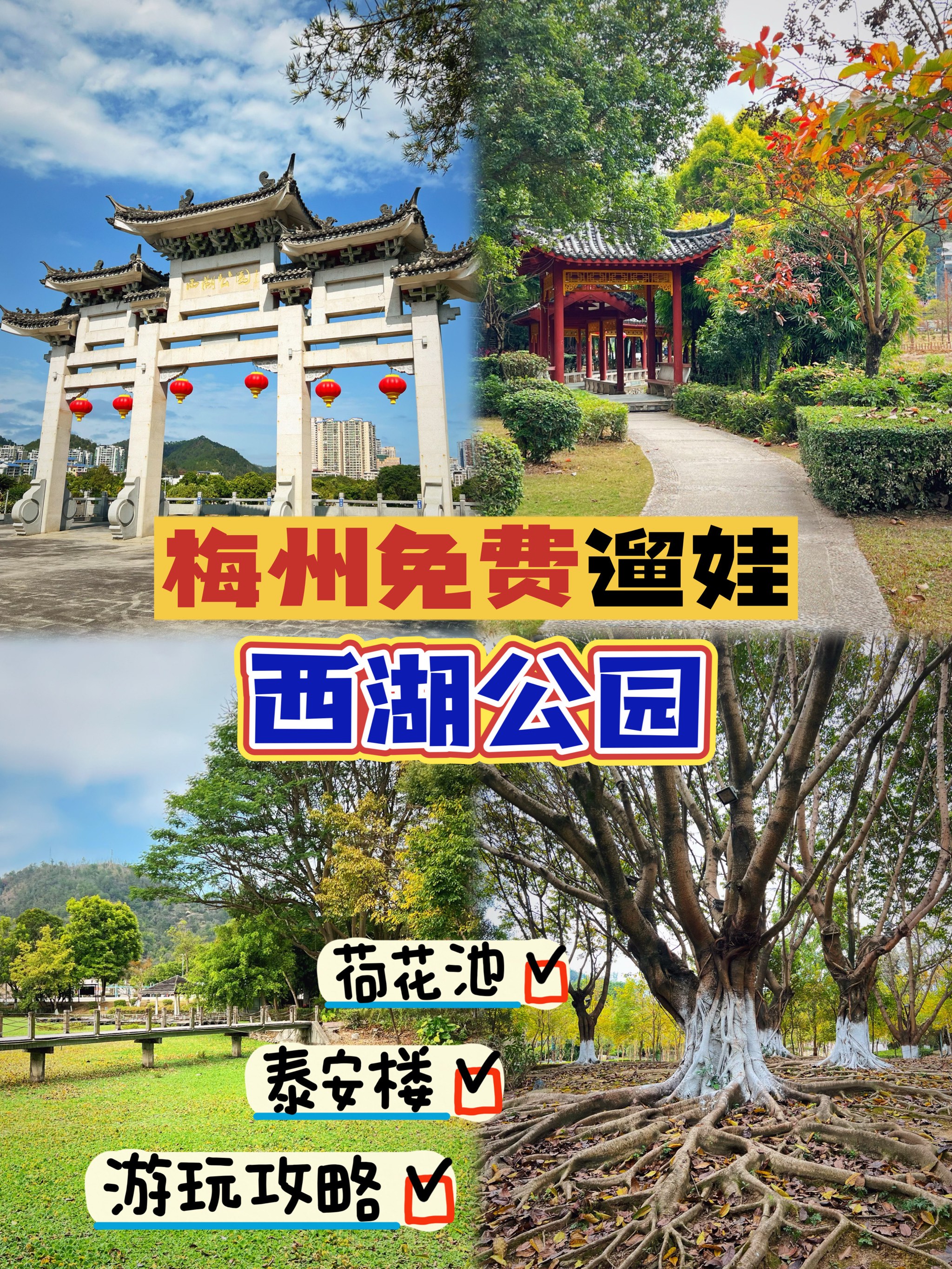 大埔西湖公园全景图图片