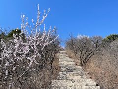 -北京西山国家森林公园