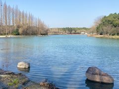 -东方绿舟景区