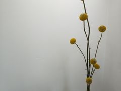 -CAFE'IN精品咖啡体验空间(小寨店)