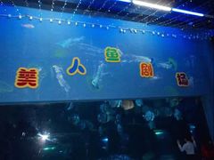 -台州海洋世界