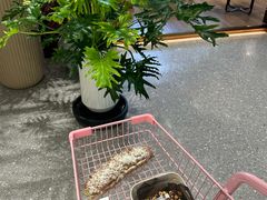 -猫姐私人烘培定制