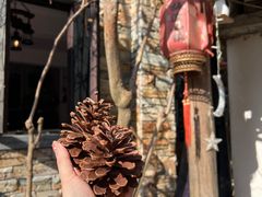 -广东天露山旅游度假区