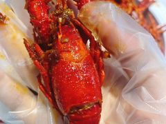 -堕落小龙虾(兰州旗舰店)