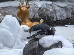 -郑州海洋馆