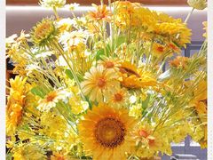 -快乐小羊·内蒙牛羊肉火锅(流花中心店)