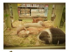 -龙猫仔乐园(惠福东路店)