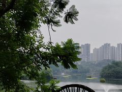-重庆彩云湖湿地公园