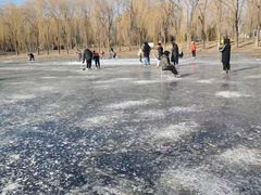 -东坝千亩湖公园