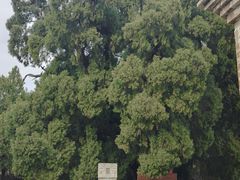 -四门塔风景区