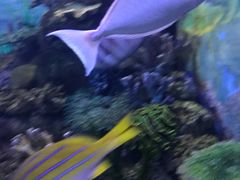 -常州海昌海洋探索馆