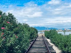 -海堤纪念公园