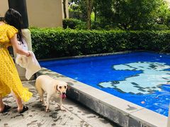 -上海崇明金茂凯悦酒店