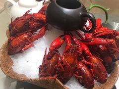 -新日月育才大酒店-中餐厅(环城北路店)
