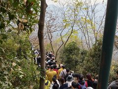 -灵顺寺