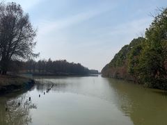 -上海海湾国家森林公园