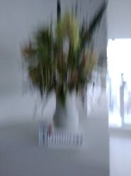 -颜蕾医美·黄金微针·水光·玻尿酸·超声炮