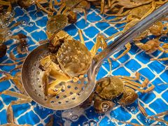 -亚马逊海鲜自助(梅溪湖步步高店)