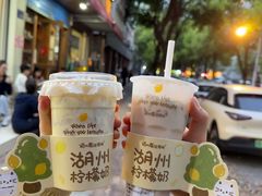 -猫的魔法密林(衣裳街店)