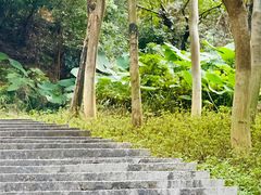 -火炉山森林公园