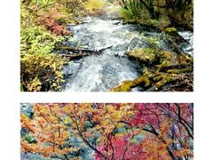 -叠溪松坪沟景区