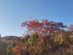 -北京西山国家森林公园