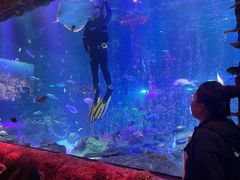 -沈阳海洋探索中心