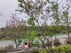 -福建鲤鱼洲酒店